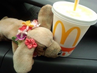 180421_mcd.jpg